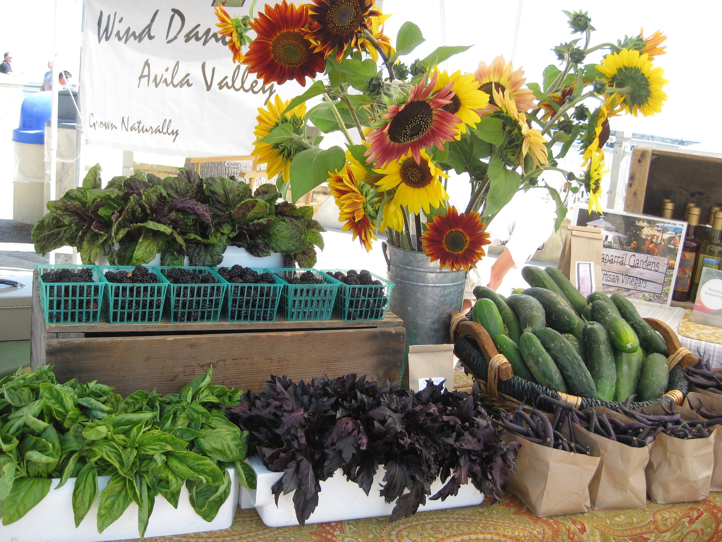 Raspberry Basil Fruit Vinegar – Chaparral Gardens